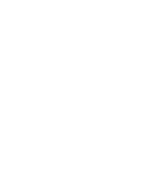 Icon-Professional